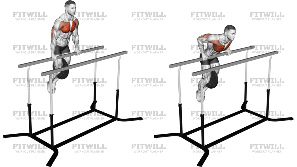 Ağırlıklı Düz Bar Dips