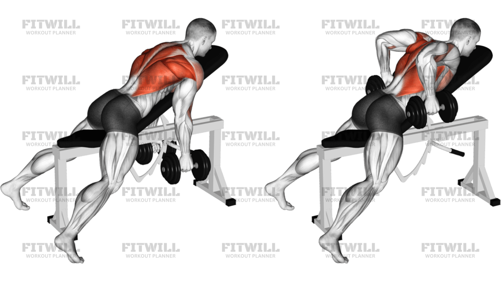 Dumbbell Hammer Grip Incline Bench Two Arm Row