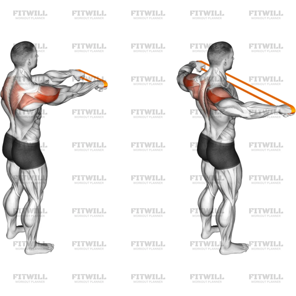 Resistance Band Rear Fly: Exercise Guide, Techniques, Benefits, How to ...
