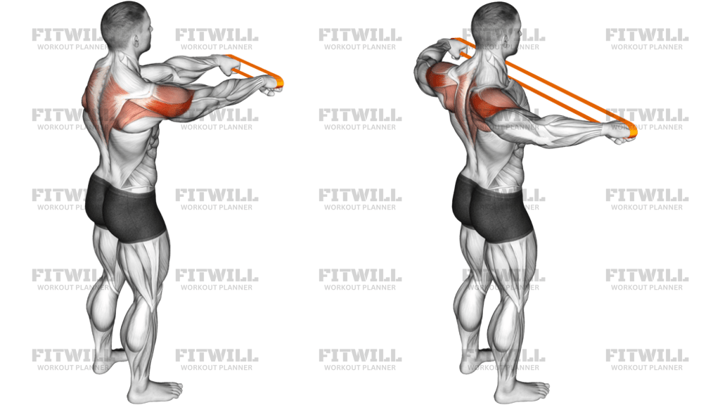 Resistance Band Rear Fly