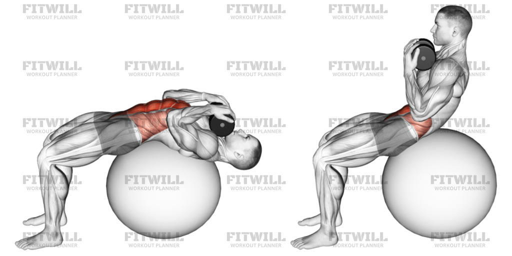 Weighted Stability Ball Crunch Full Range: Exercise Guide, Techniques ...