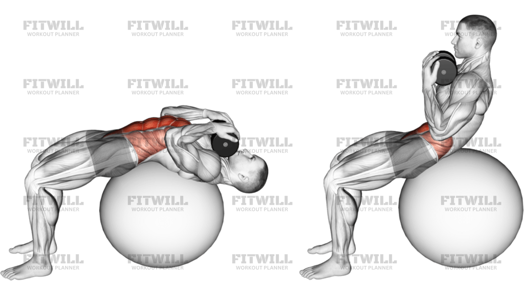 Weighted Stability Ball Crunch Full Range