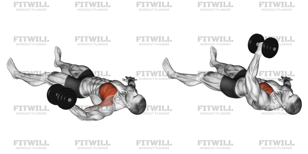 Dumbbell One Arm Floor Fly Exercise Guide Video Techniques Benefits How to Muscles Worked Tips Tricks Fitwill