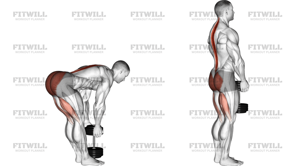 Dumbbell Stiff Leg Deadlift