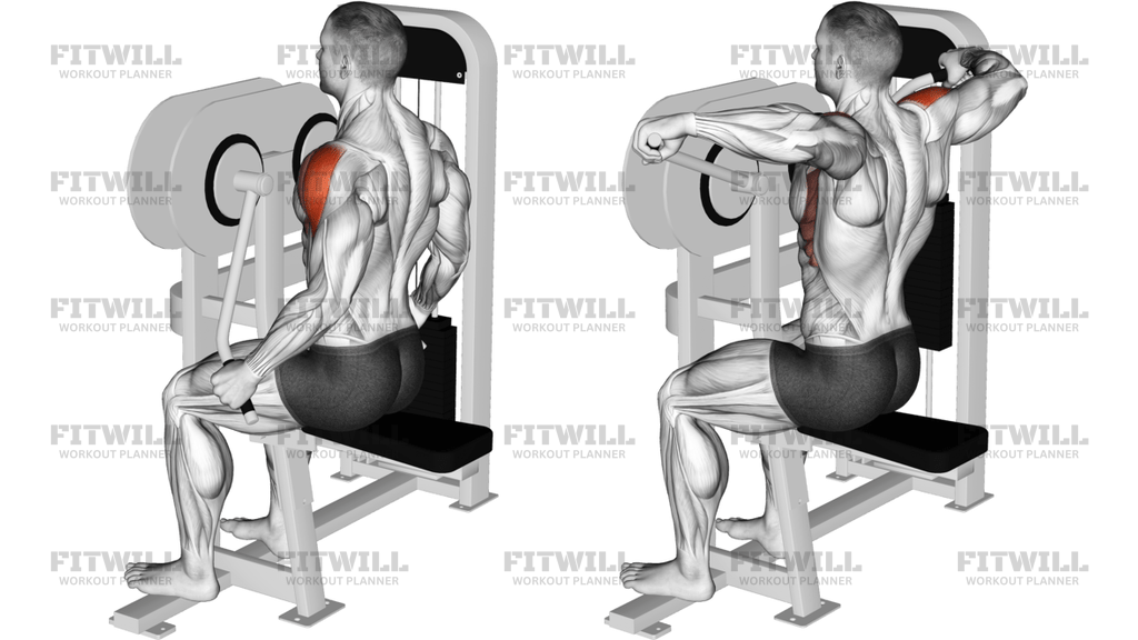 Lever Lateral Raise Version 2