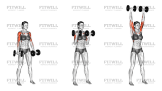Dumbbell Curl to Press