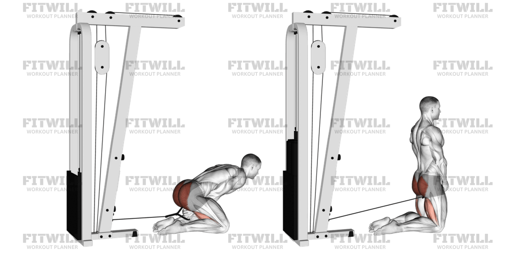 Cable Kneeling Pull Through Exercise Guide Video Techniques Benefits How to Muscles Worked Tips Tricks Fitwill