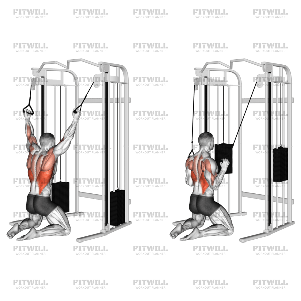 Cable Kneeling Parallel Grip Lat Pulldown: Exercise Guide, Video ...