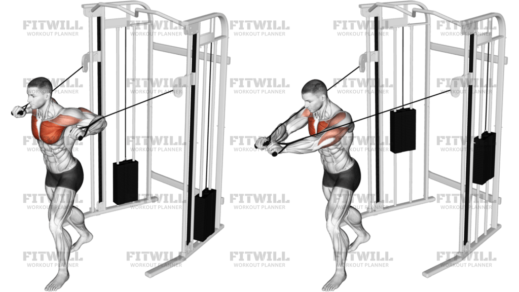 Cable Standing Chest Press