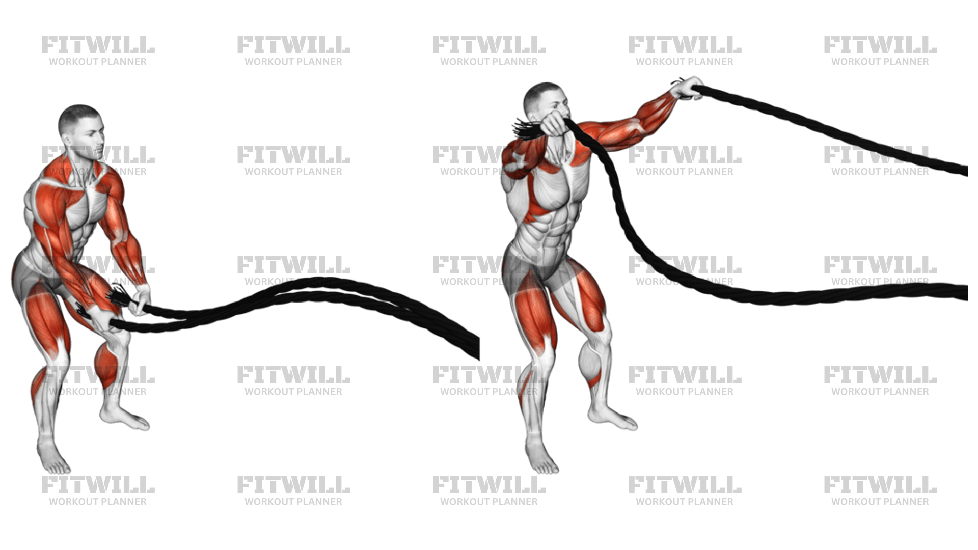 Battling Ropes Inside Circle: Exercise Guide, Techniques, Benefits, How ...