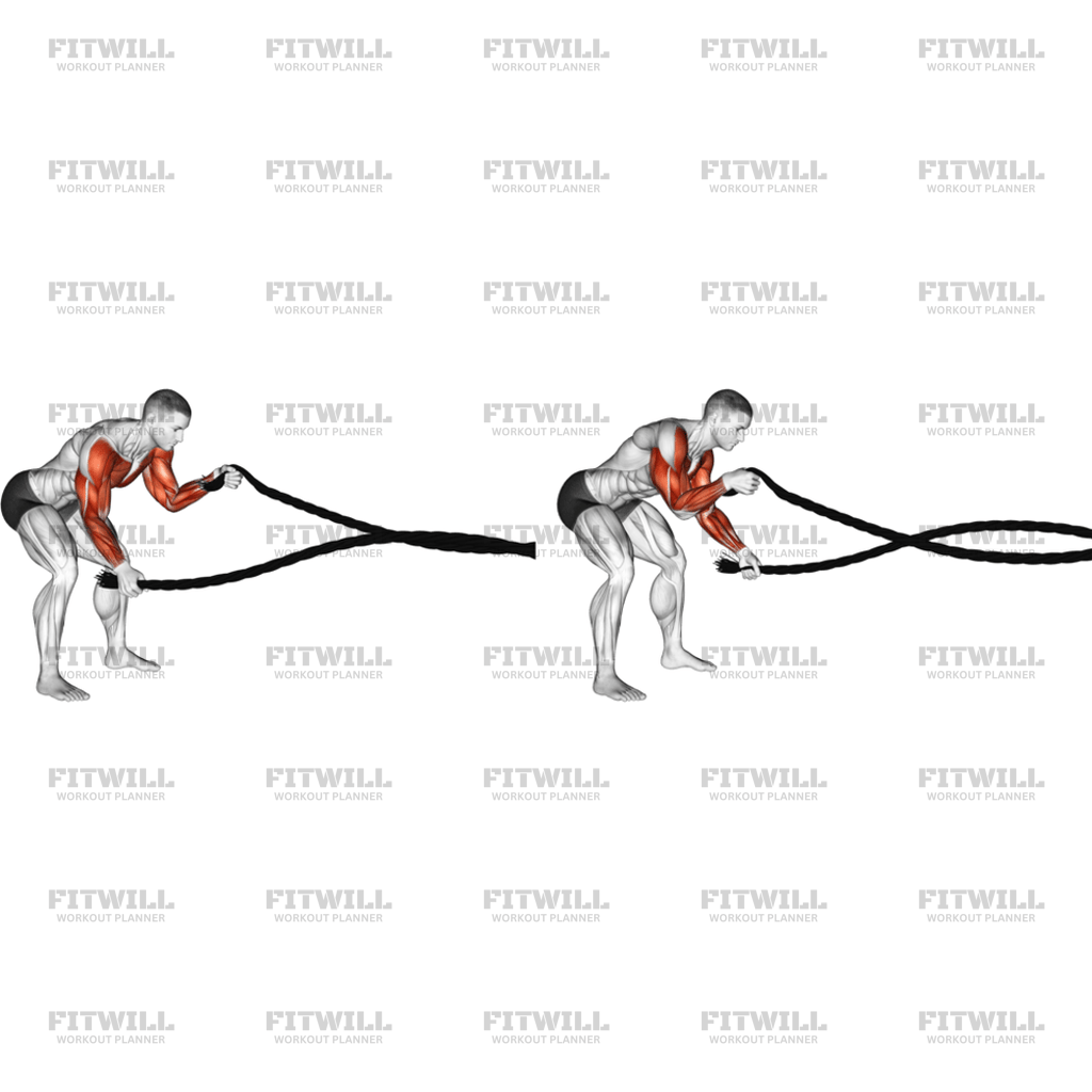 Battling Ropes Low Waves: Exercise Guide, Techniques, Benefits, How to ...