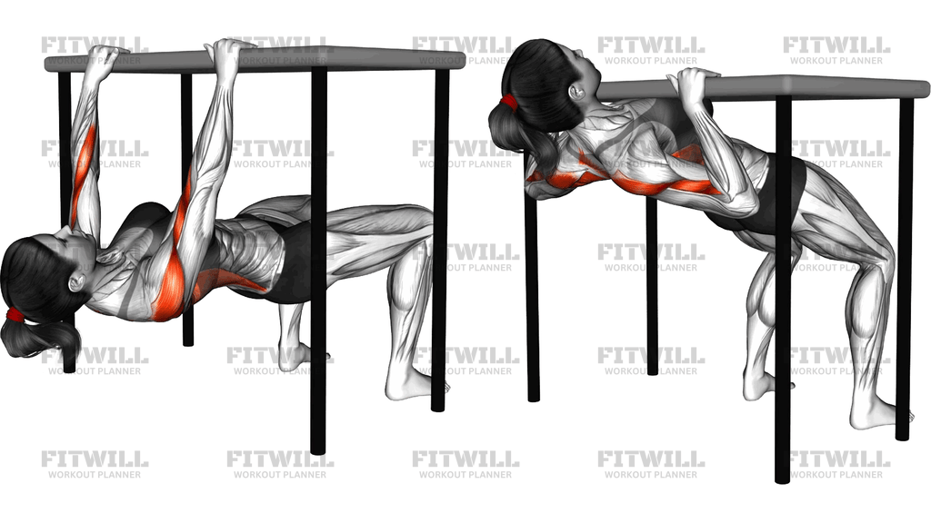 Inverted Row Bent Knee Under Table