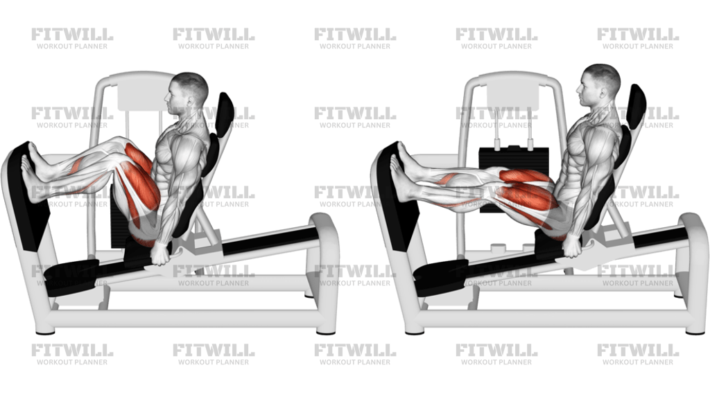 Lever Seated Leg Press Version 2