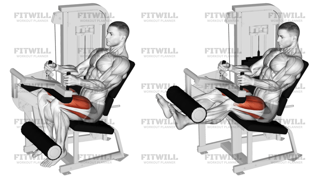 Lever Seated Leg Extension