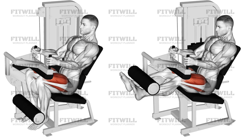 Lever Seated Leg Extension