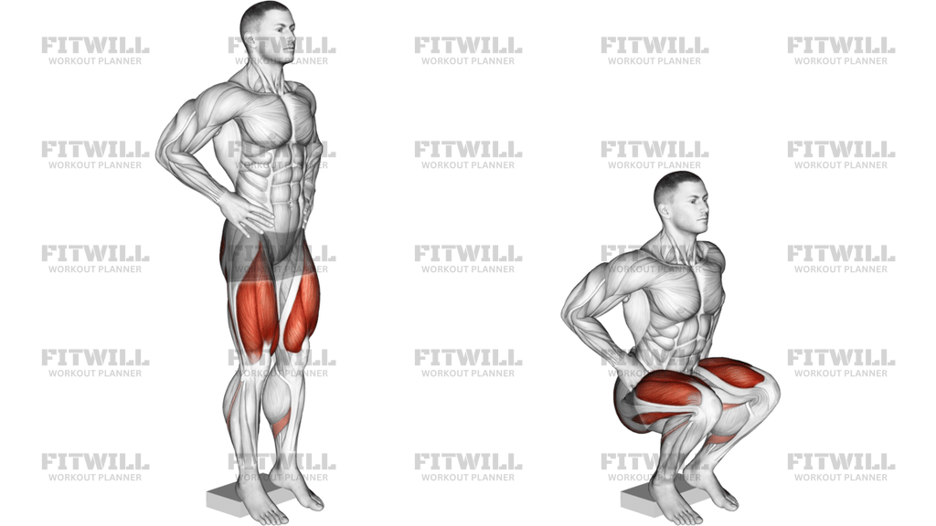 Narrow Squat From Deficit