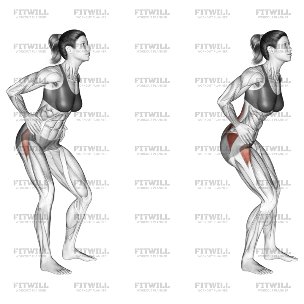 Lower body rotation exercises hotsell