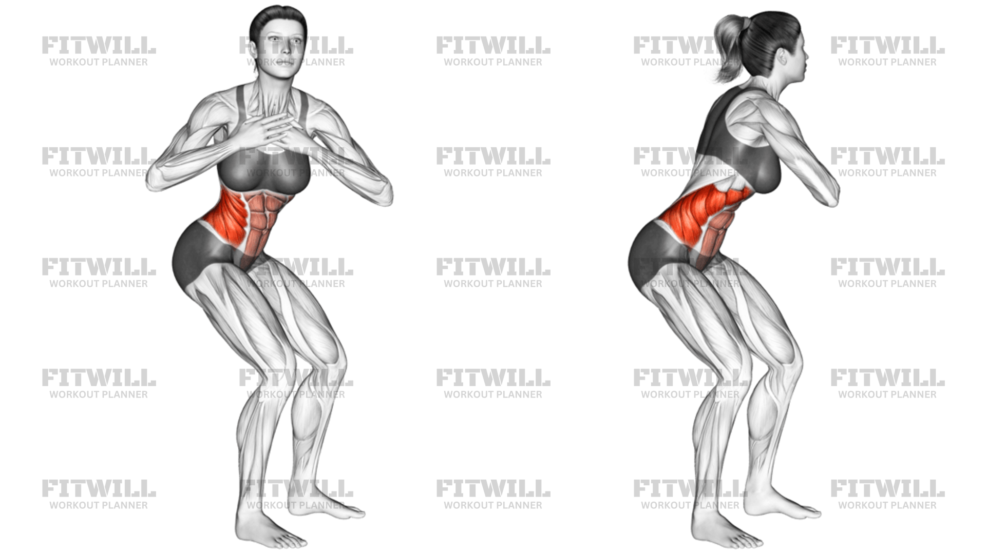 Standing Upper Body Rotation: Exercise Guide, Techniques, Benefits, How ...
