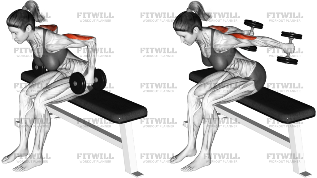 Dumbbell Seated Kickback