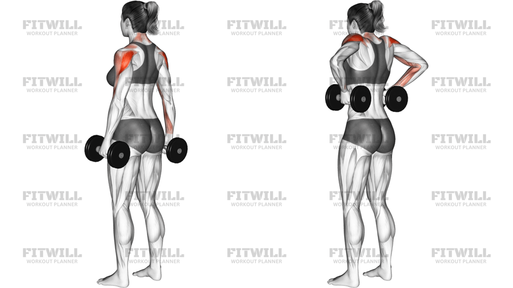 Dumbbell Rear Delt Raise