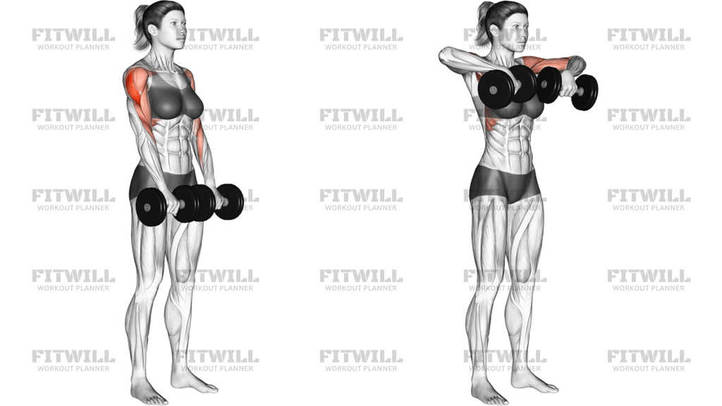 Dumbbell Upright Row