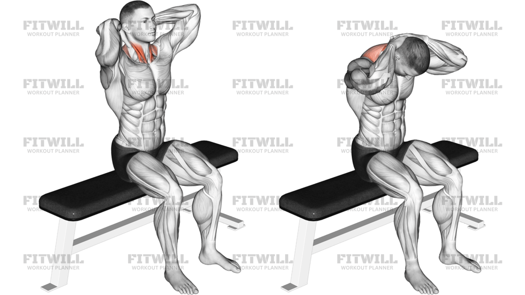 Seated Flexion And Extension Neck