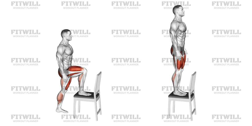 Step up On Chair Exercise Guide Video Techniques Benefits How to Muscles Worked Tips Tricks Fitwill