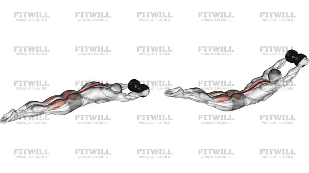 Dumbbell Superman