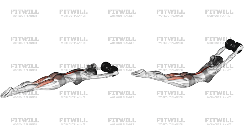 Dumbbell Superman