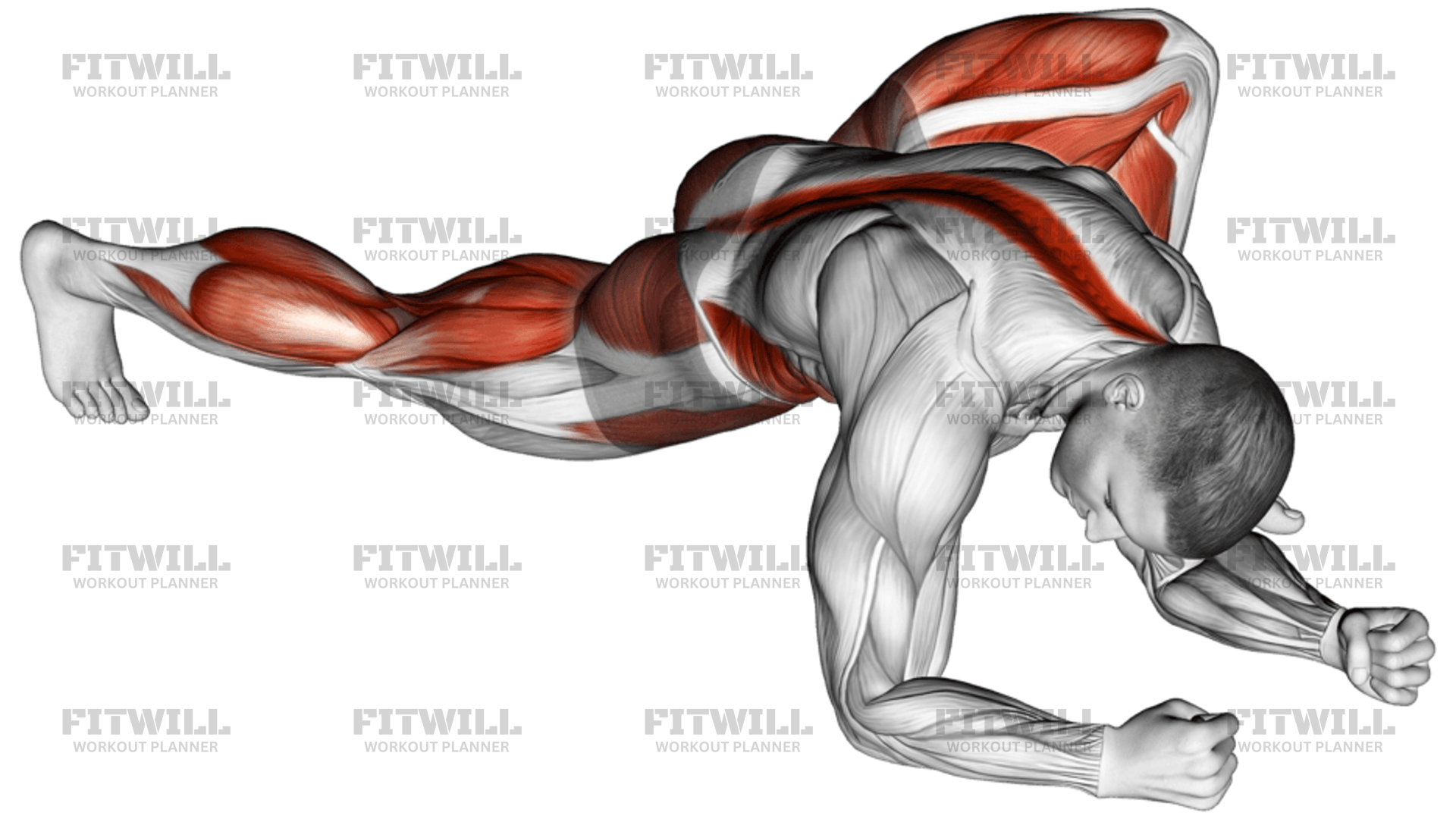 Warming-Up In Lunge Six: Exercise Guide, Video, Techniques, Benefits ...