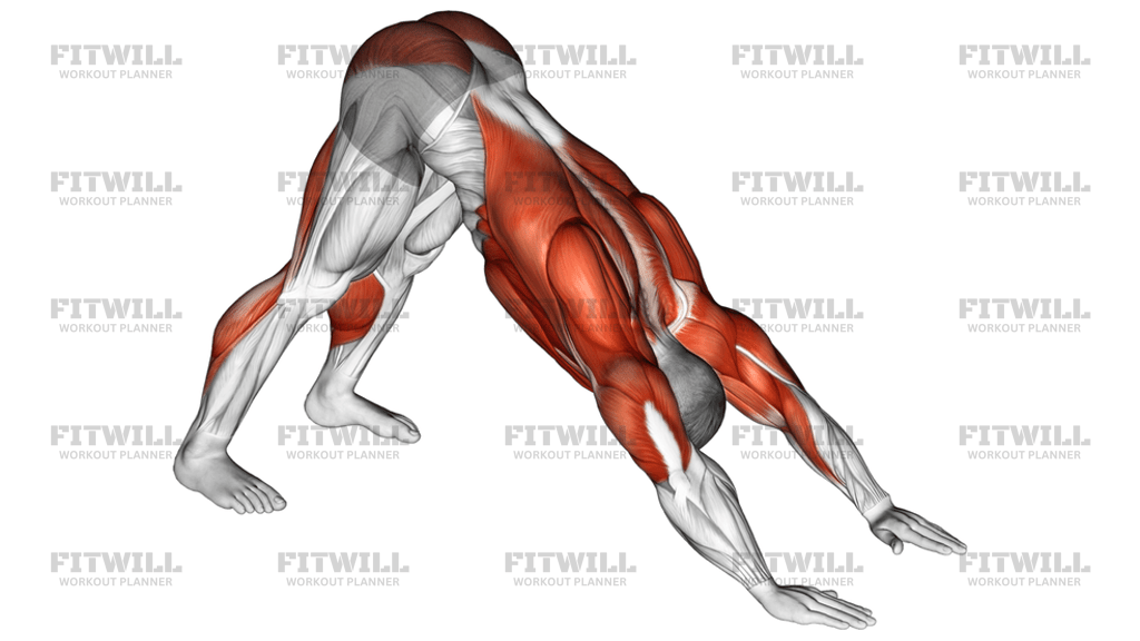 Downward Facing Dog