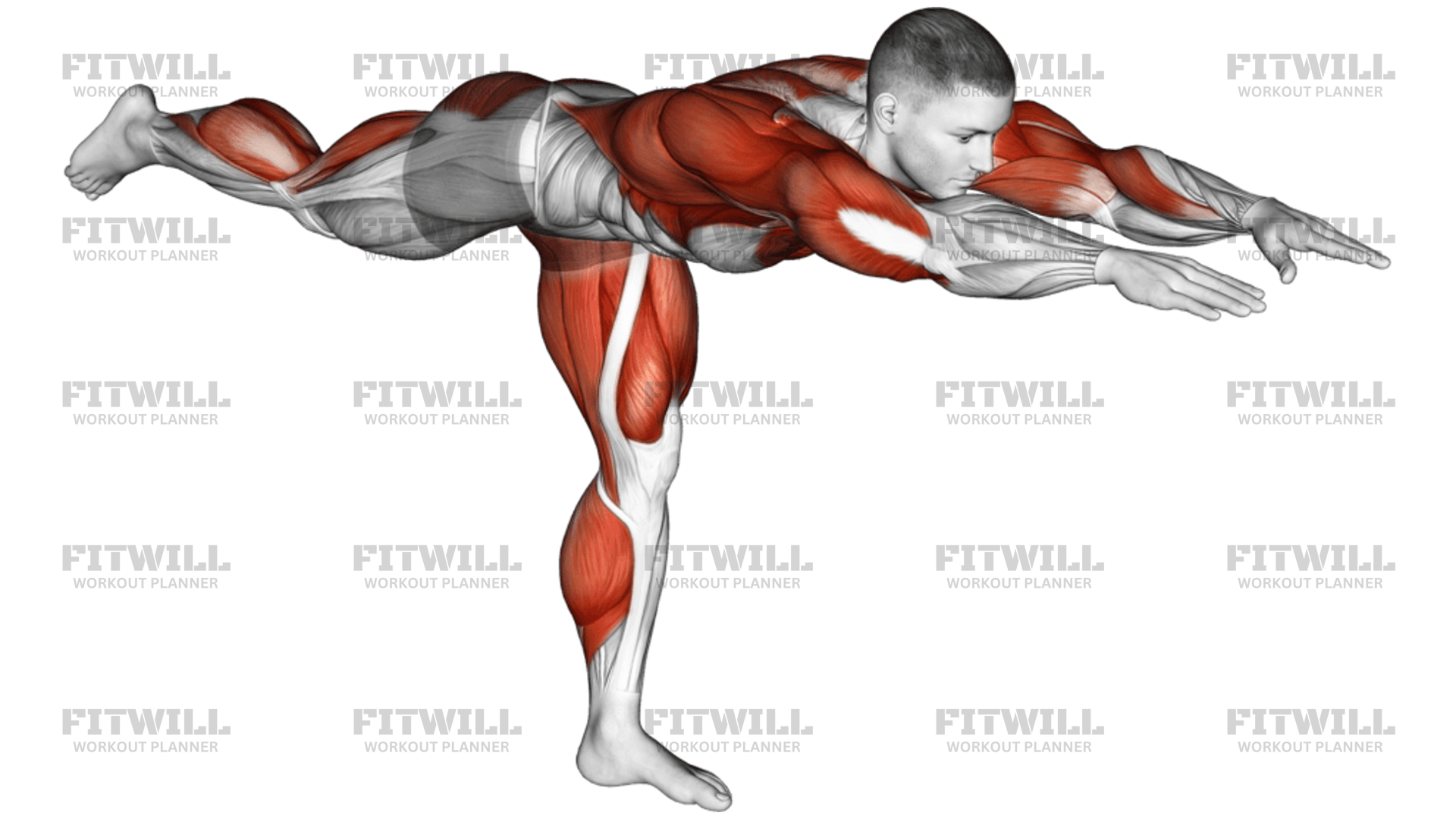 Warrior Pose: Exercise Guide, Techniques, Benefits, How to, Muscles ...