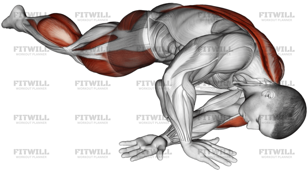 Lying Leg Tuck Hip Back To Right Stretch: Exercise Guide, Techniques ...