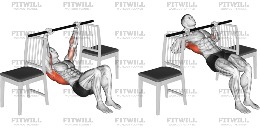 Inverted Row With Bent Knee Between Chairs: Exercise Guide, Video ...