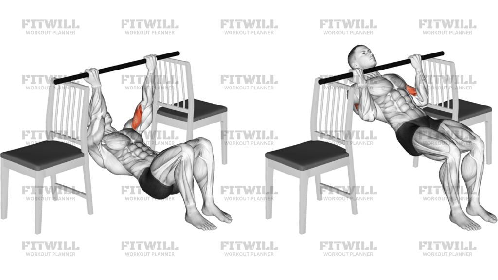 Inverted Chin Curl With Bent Knee Between Chairs