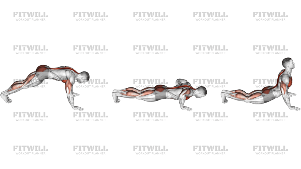 Cobra Push-Up