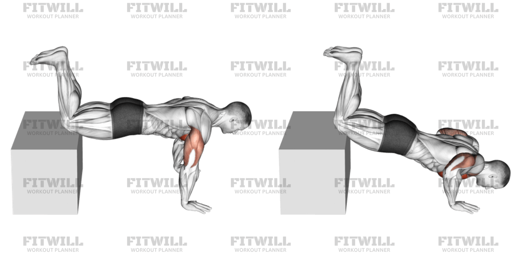 Decline push up workout hotsell