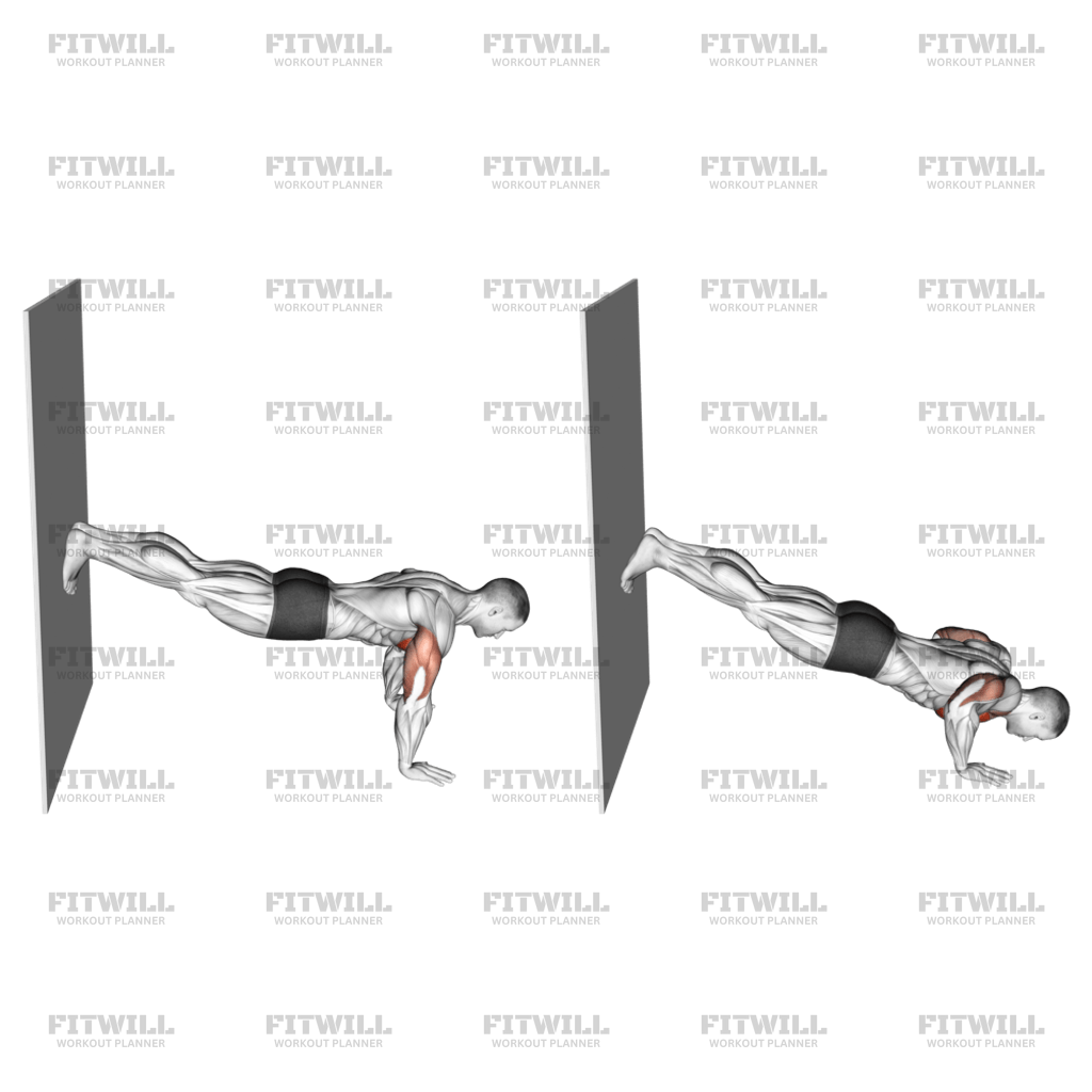 Wall Assisted Decline Push up Exercise Guide Video Techniques Benefits How to Muscles Worked Tips Tricks Fitwill