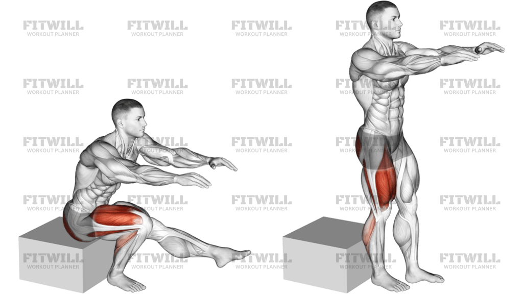 Single Leg Low Box Squat