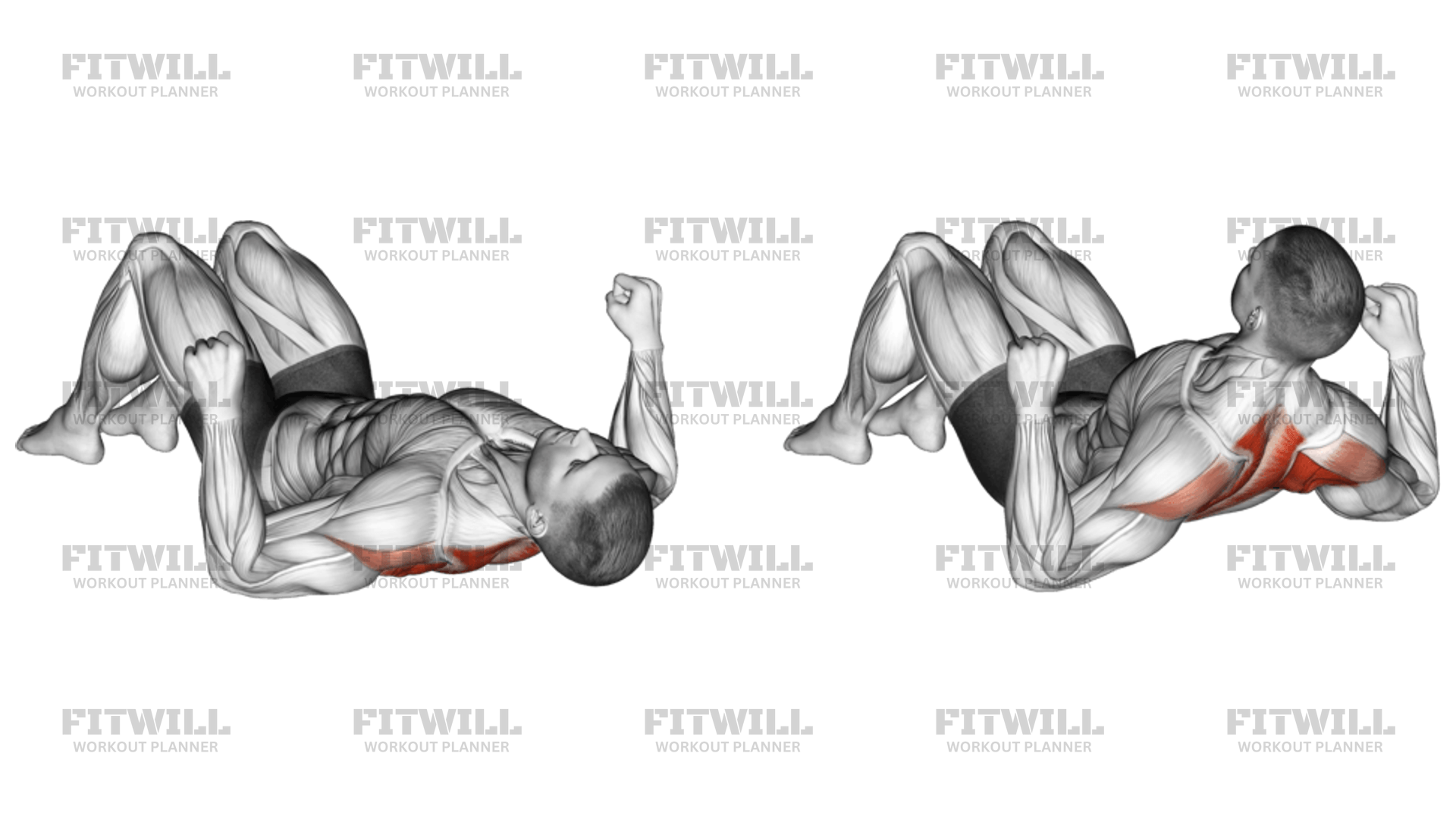 Lying Floor Row With Bent Knee Exercise Guide Video Techniques Benefits How to Muscles Worked Tips Tricks Fitwill