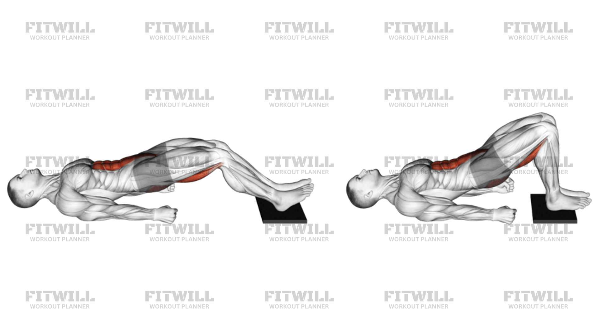 Glute bridge curl discount