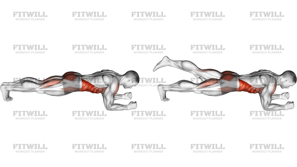 Front Plank With Leg Lift