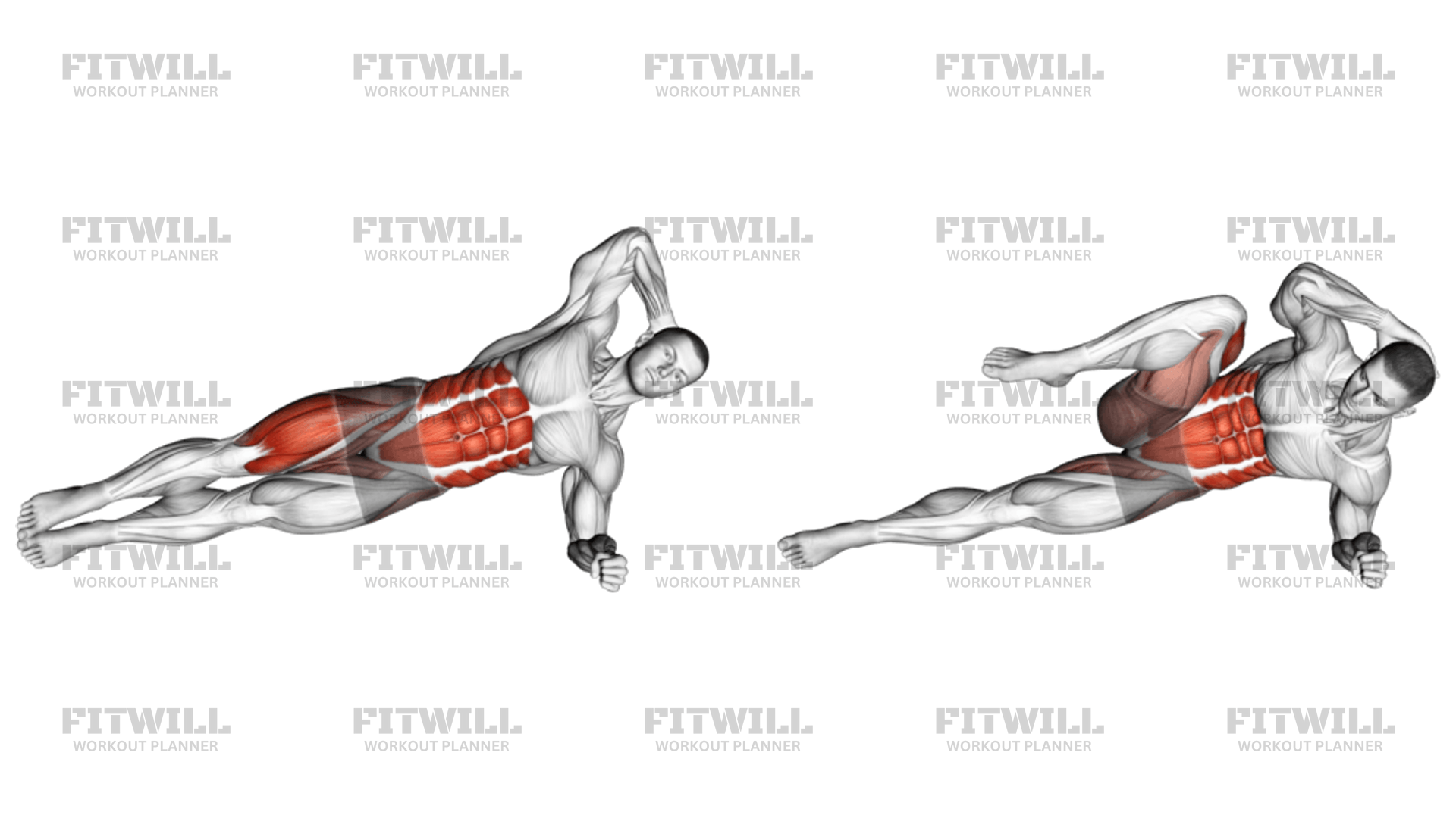 Elbow To Knee Side Plank Crunches Exercise Video Fitwill