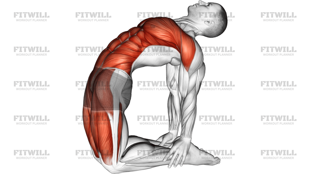 Camel Pose