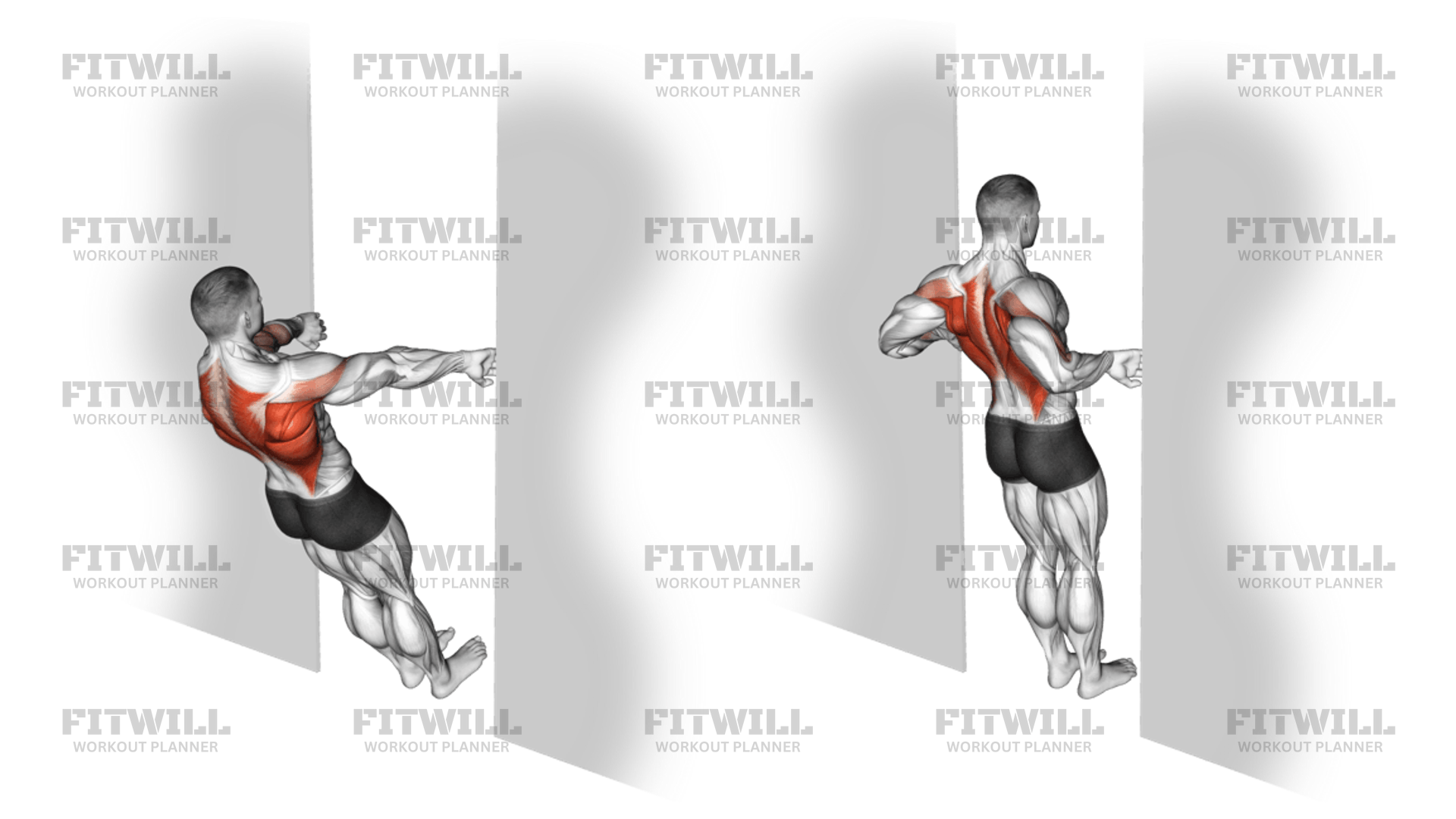 Bodyweight Row In Doorway: Exercise Guide, Techniques, Benefits, How to ...