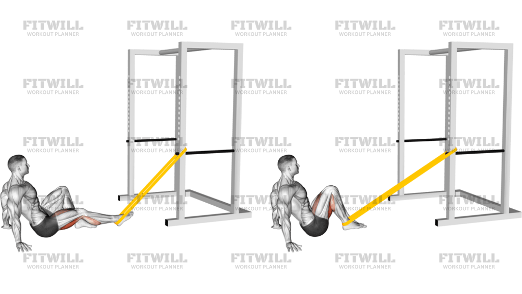 Leg Curl Singolo Da Seduto Con Elastico