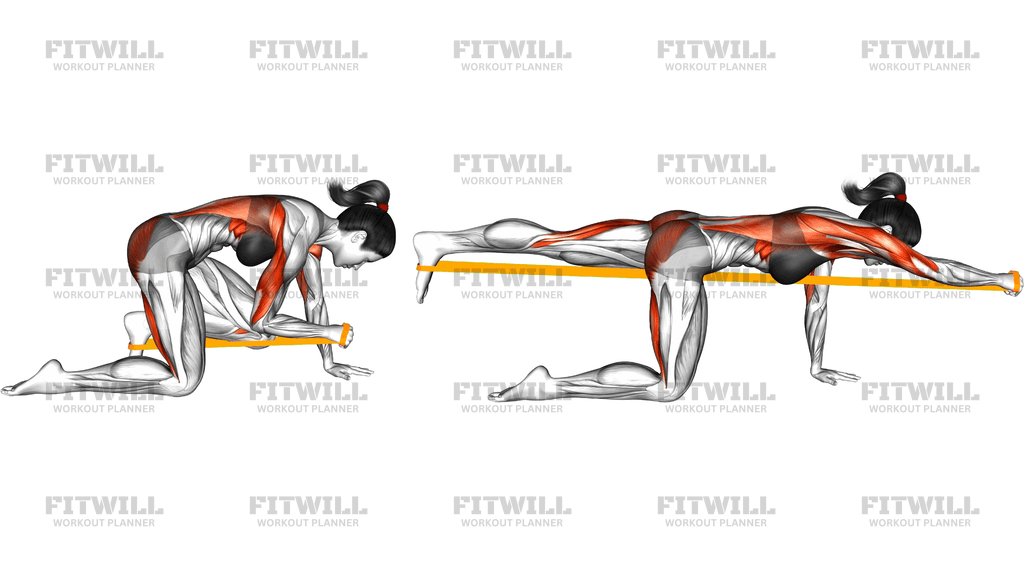Resistance Band Bird Dog