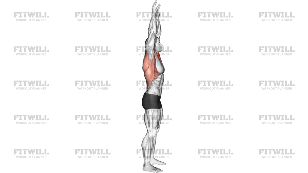 Shoulder Backbend Stretch
