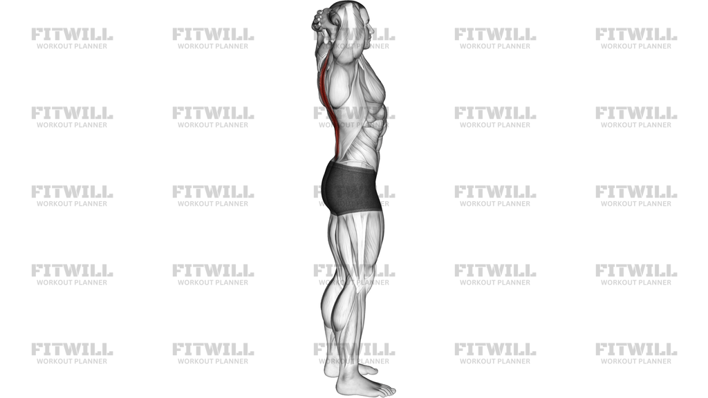 Spine Backbend Stretch