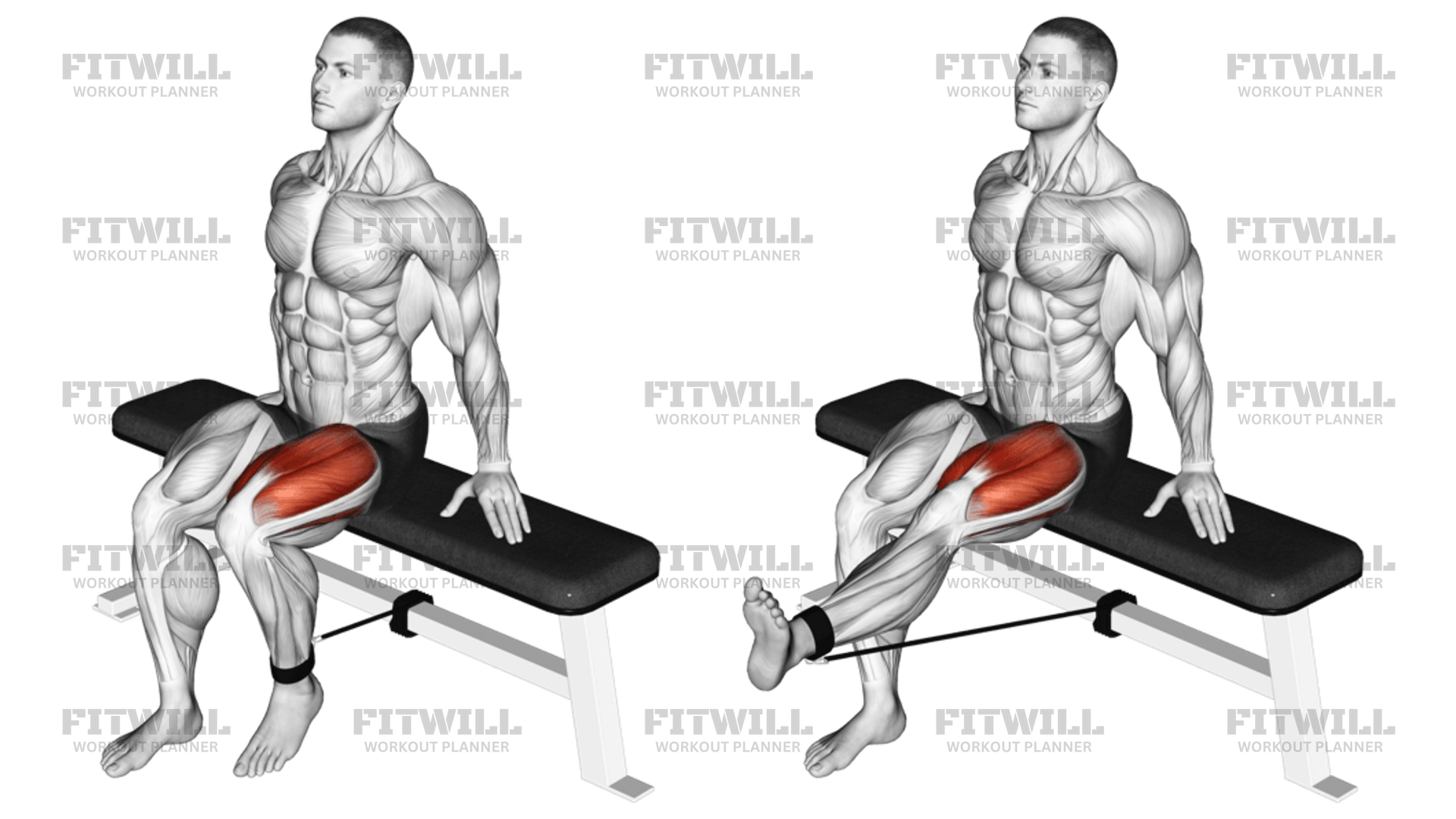 Seated leg extension with band sale